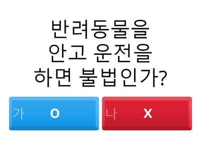 퀴즈