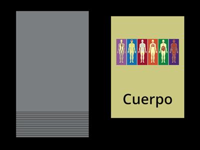 Partes del cuerpo