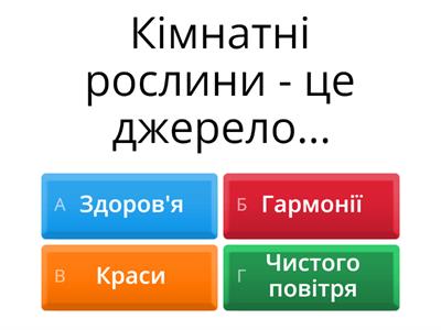 Технологія вирощування кімнатних рослин.