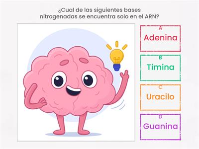 ¡Desafío Bio-Molecular! Explorando el ADN, el ARN y la dinámica celular.