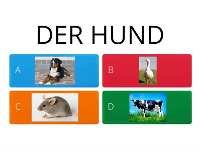 Tiere | Deutsch