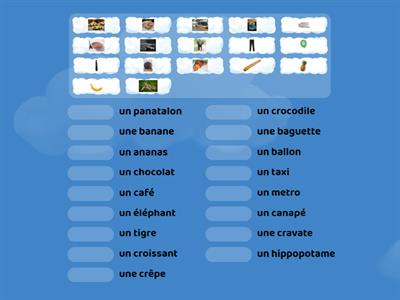 les mots transparents en français