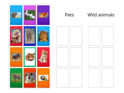 Pets vs.wild animals