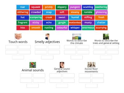 Rainforest sensory words