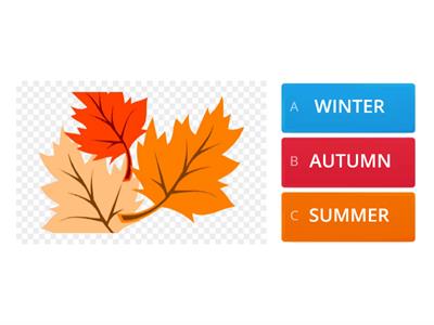 Seasons & temperature