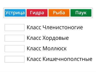 Классы Животных