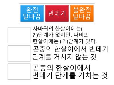 곤충의 한살이