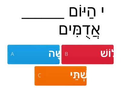 משחק עברית (אוצר מילים + זכר ונקבה)