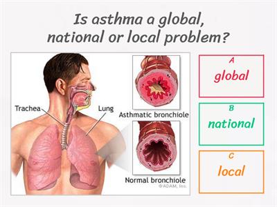 4.3 Asthma Emergency - questions to the text