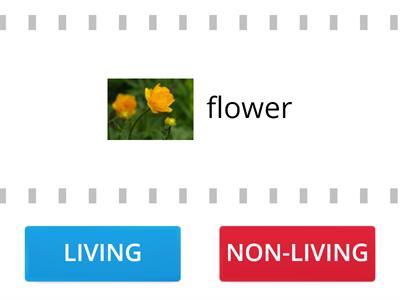 GR3 2020 - Living or Non-living True False