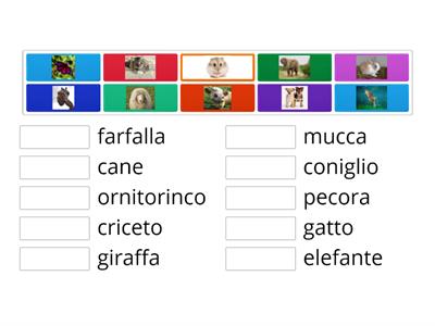 nomi di animali italiano