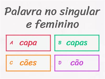 Singular/Plural/Masculino/Feminino