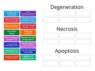 C03: Degeneration, Necrosis & Apoptosis