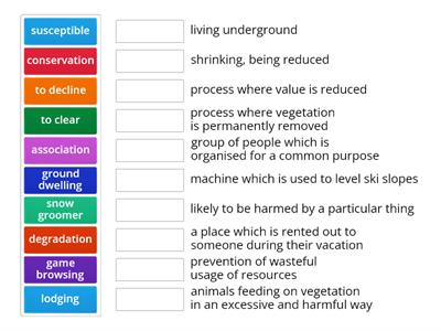 Glossary Quiz