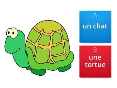 Les animaux domestiques