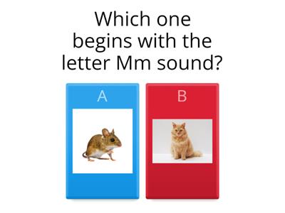 Things that start with the letter Mm.