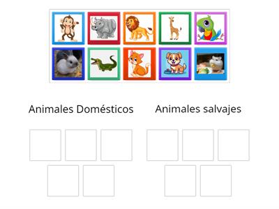 Animales salvajes y domésticos 