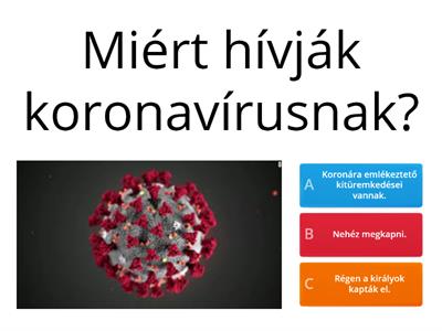 A koronavírusról