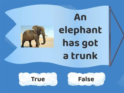 Animals have got True False