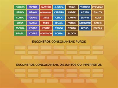 LINGUÍSTICA: ENCONTROS CONSONANTAIS PUROS E DISJUNTOS