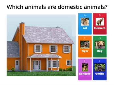 Domestic and Wild animals.