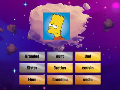 Simpsons FAMILY - Find the match