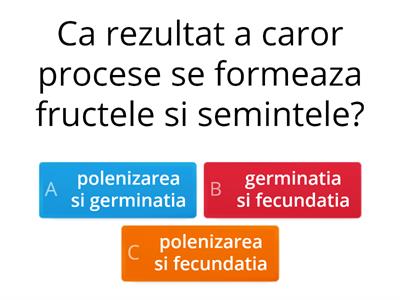 REPRODUCEREAA LA PLANTE