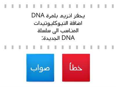 تابع تضاعف DNA