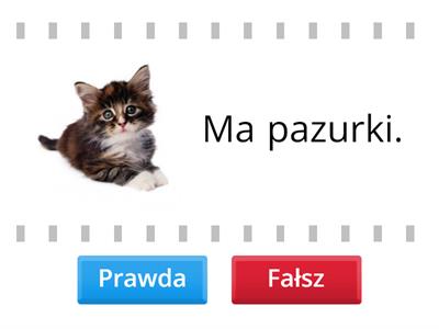 Zwierzęta - prawda czy fałsz? JĘZYK POLSKI