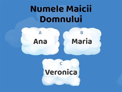 MAICA DOMNULUI