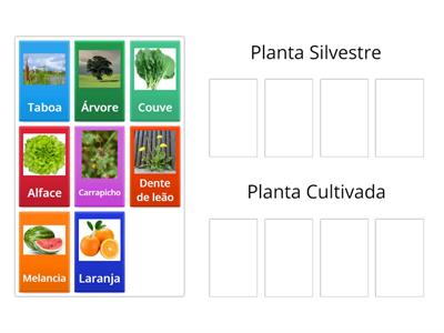 Plantas Silvestres e Plantas Cultivadas