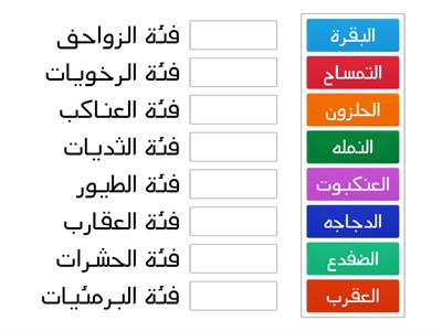 تصنيف الحيوانات 