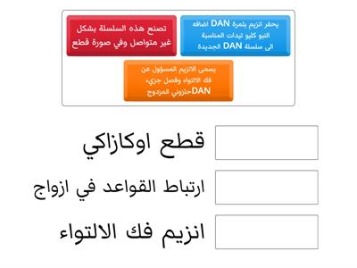 تضاعف DAN