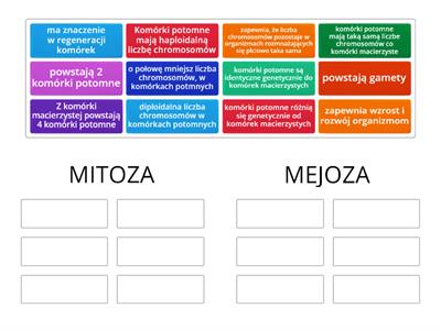 Mitoza i mejoza_klasyfikowanie