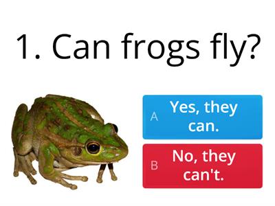 Can frogs fly? Yes, they can. No, they can't. Choose the correct option. Wybierz właściwą odpowiedź.