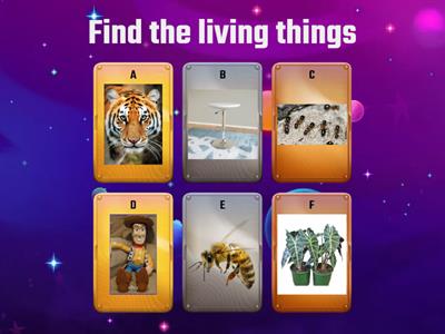 living things and non living things quiz