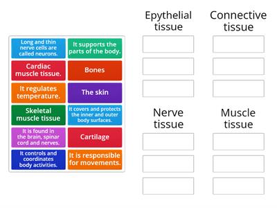 Different tissues