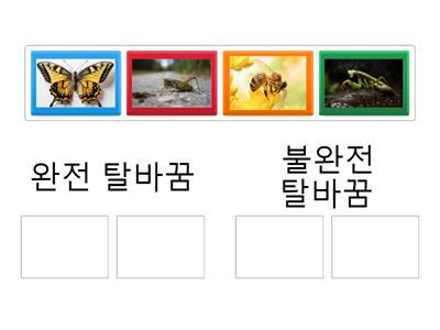 곤충의 한살이