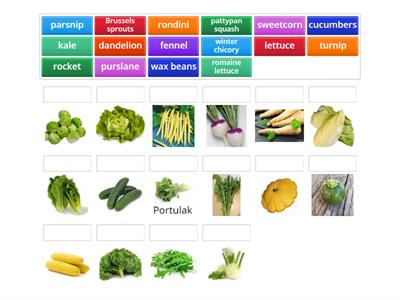 BILI Vegetables in English / German 2