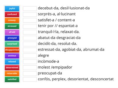 Adjectives of emotion- Translation- Real World 4 Essentials page 13