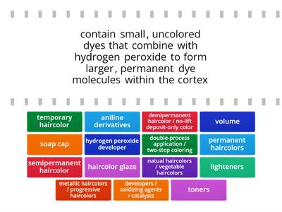 Cosmetology Chapter 21 - Vocab 2