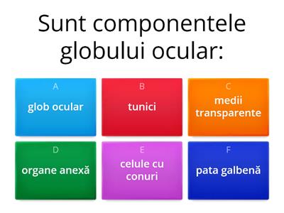 Organe de simț - recapitulare