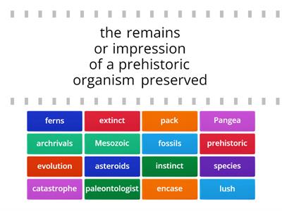 WOTD - Age of the Dinosaurs - Find the Match