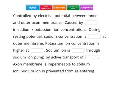 Explain the propagation of action potential along the axon of neuron