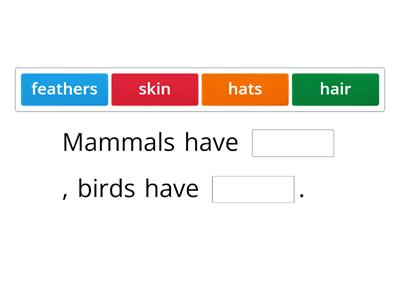 Mammals and Birds Missing Words
