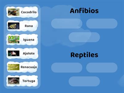 Clasificación anfibios y reptiles