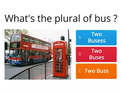 Regular and Irregular Plurals