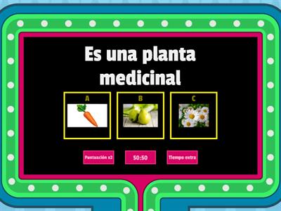 Las utilidades de las plantas 