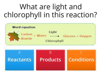 Photosynthesis and limiting factors