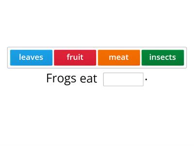  What do animals eat?